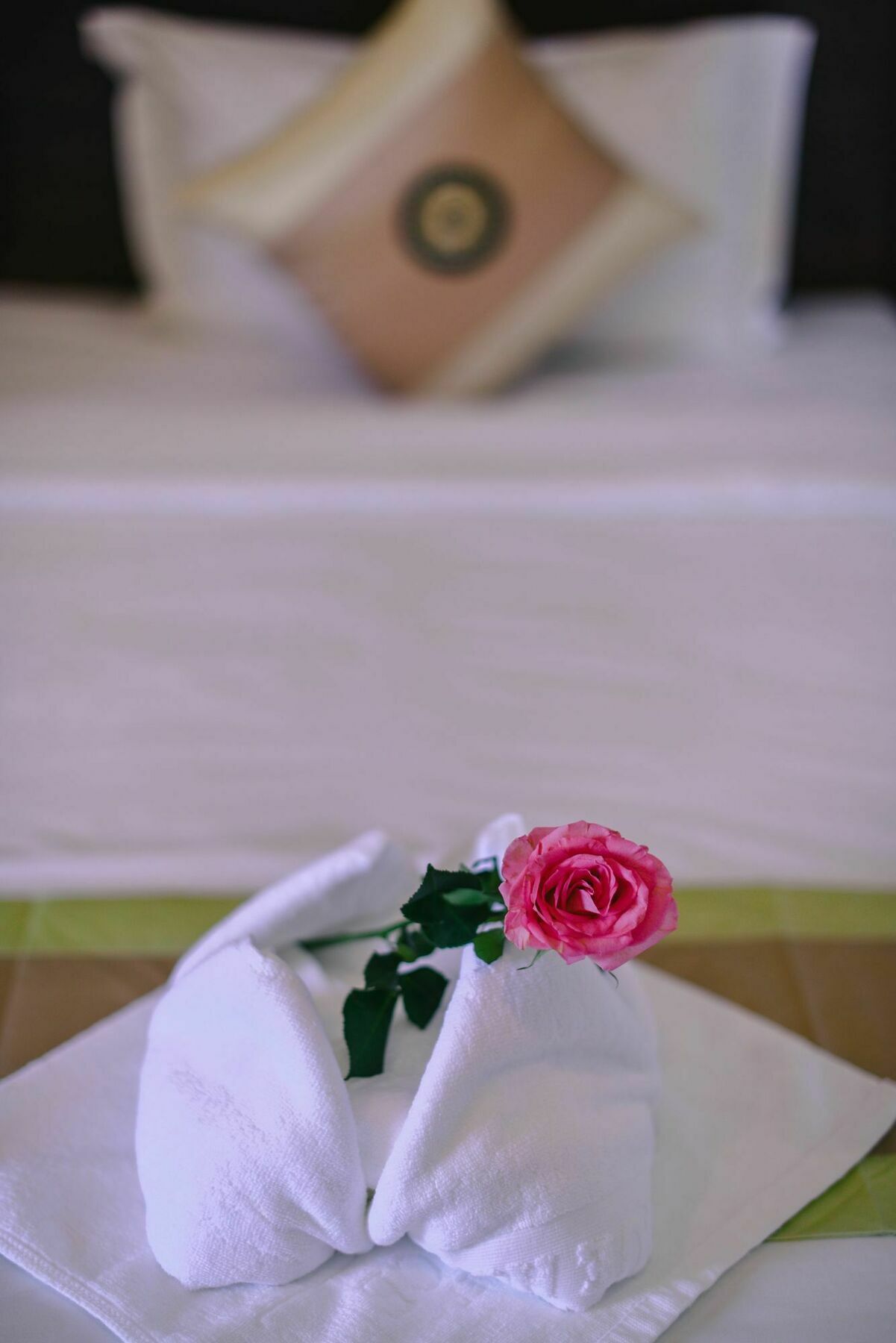 Sky Palace Boutique Hotel Battambang Bagian luar foto